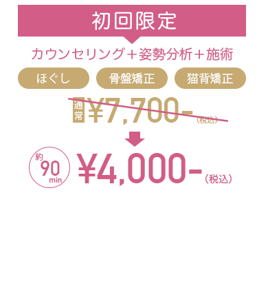 初回限定価格4,400